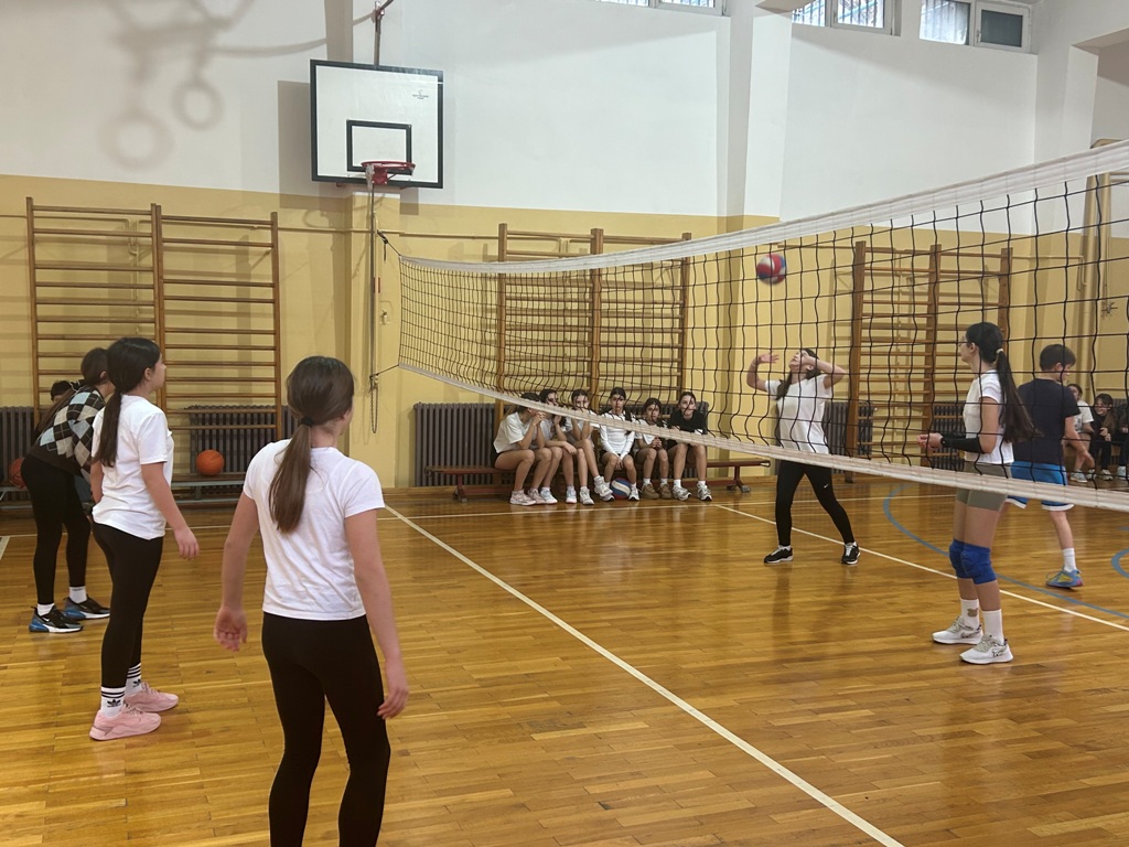 svetosavski turnir 11 svetosavski turnir 11